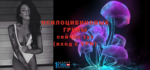 молекула духа Покачи
