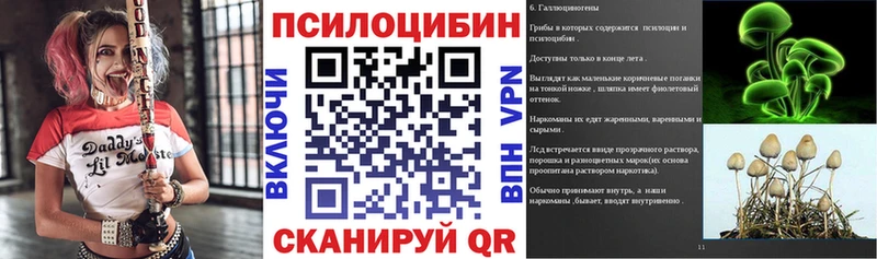 Псилоцибиновые грибы Psilocybe  Спасск-Рязанский 